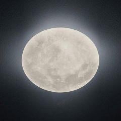 Trio Maan Plafondlamp Lunar 40cm 627514000